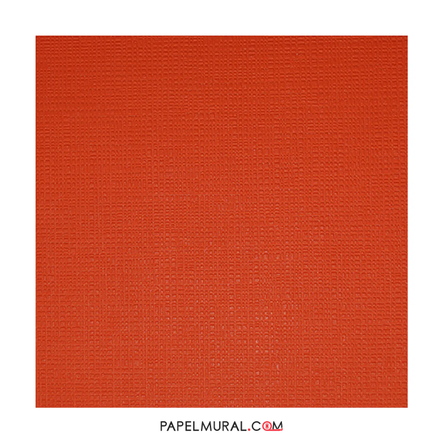 COLOUR COURAGE - 805737 (0 cm) - A.C.     1