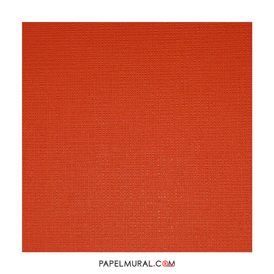 COLOUR COURAGE - 805737 (0 cm) - A.C.     1