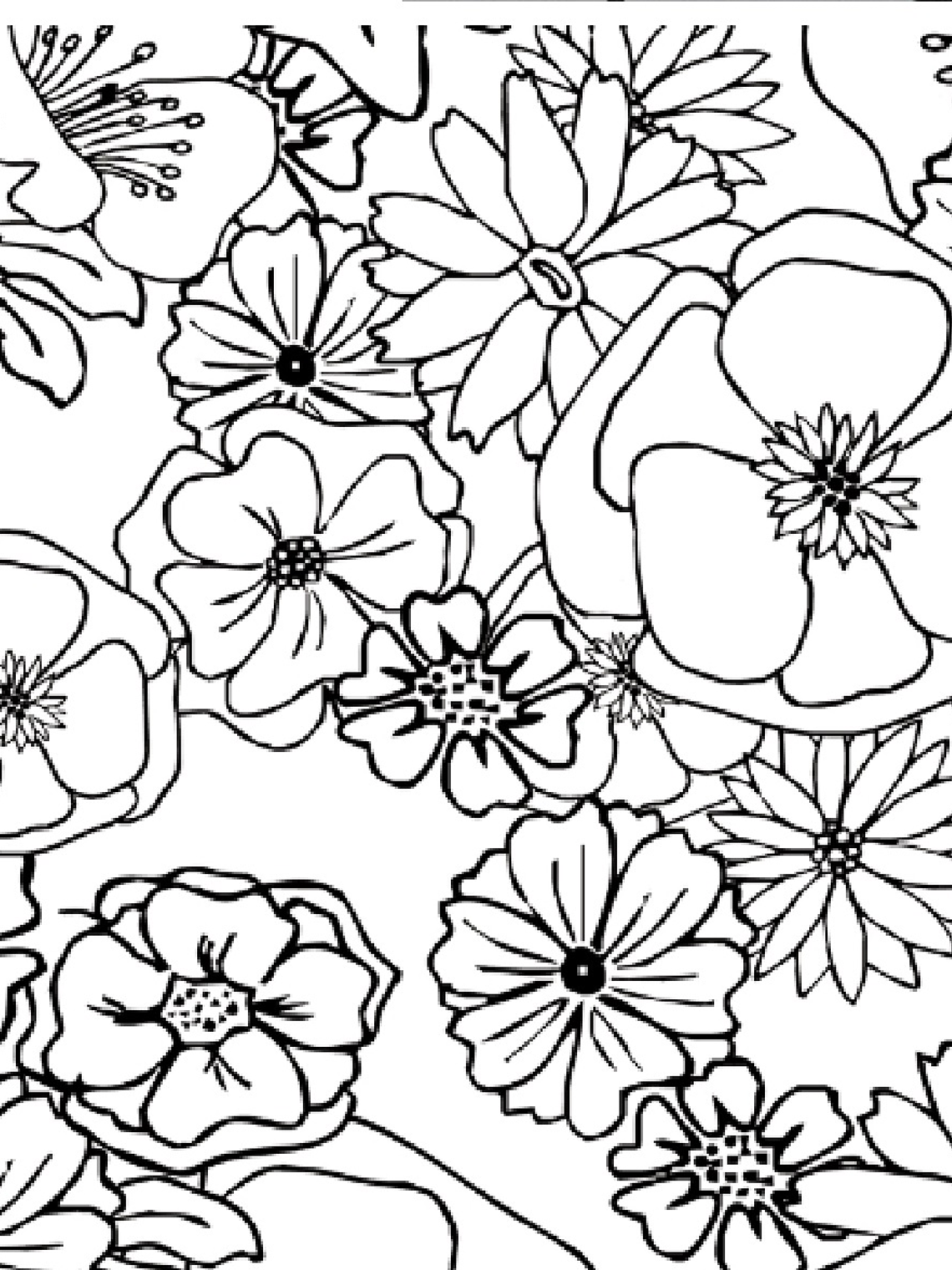 LIVE IT LOVE IT - 632616 (80 cm) - A.C.  1