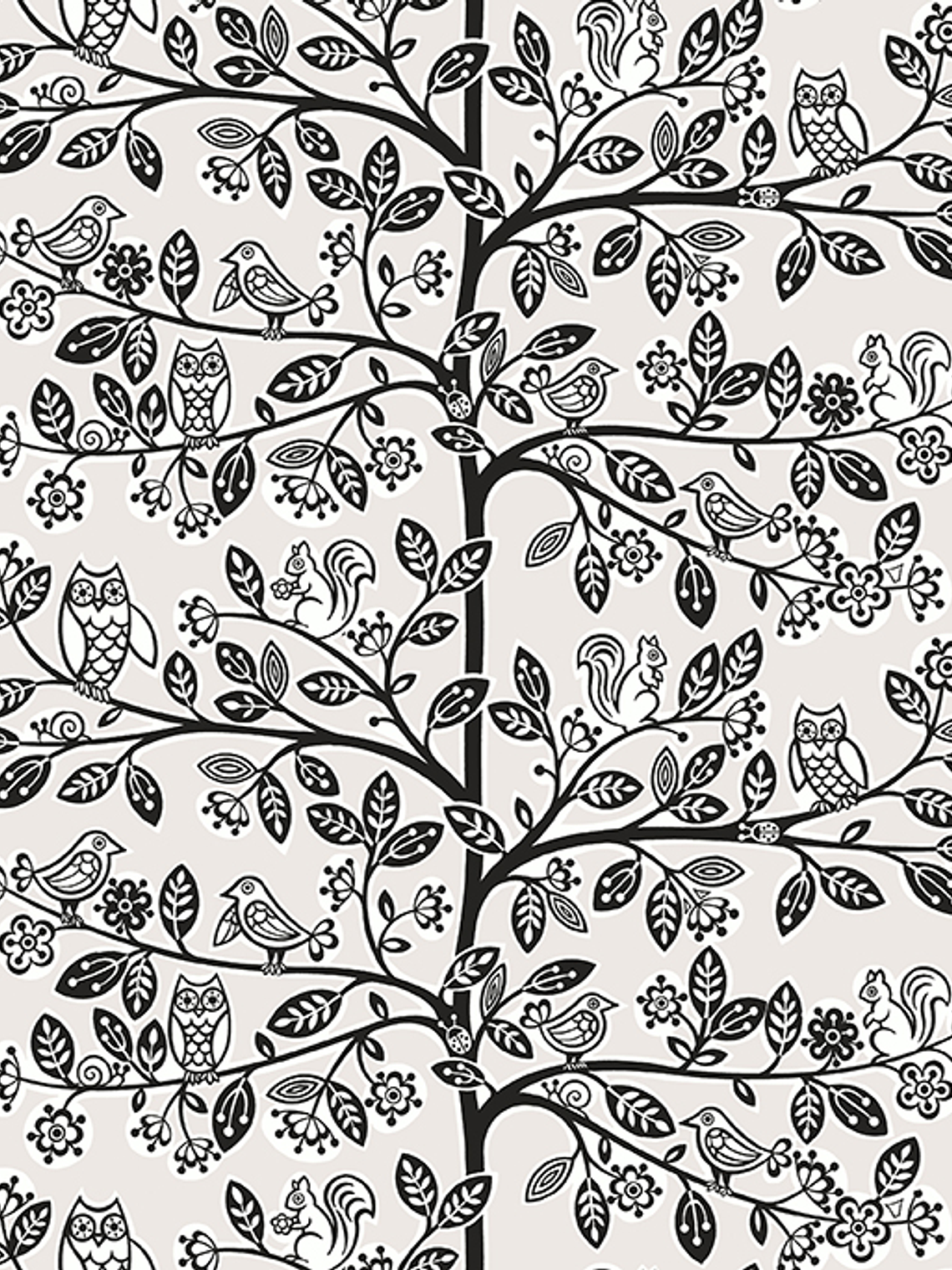 JACK 'N ROSE - LL06222 (0cm)  G.D. 1