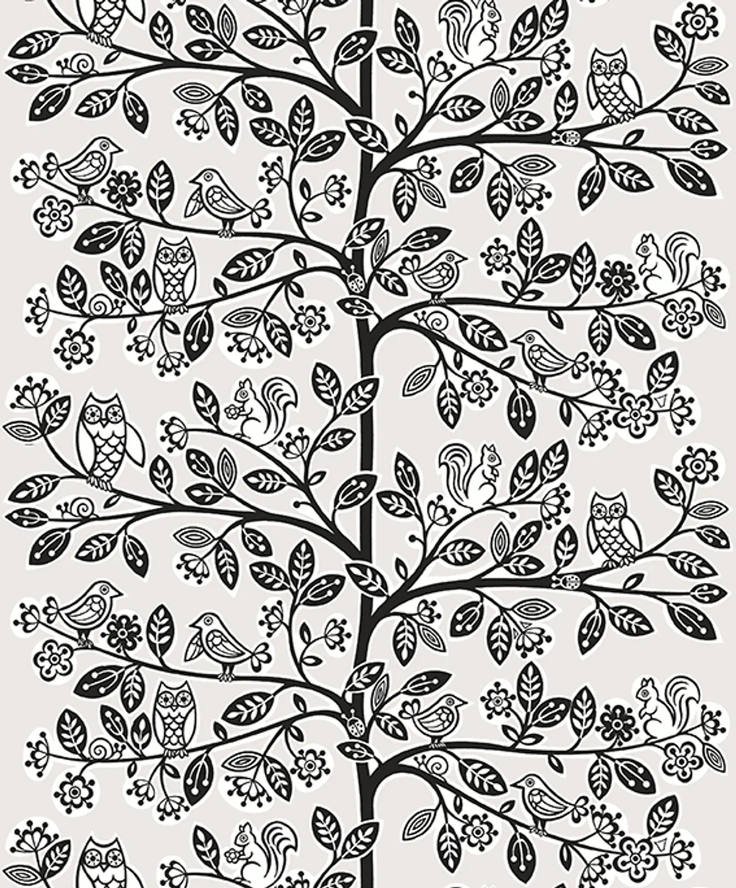JACK 'N ROSE - LL06222 (0cm)  G.D. 1