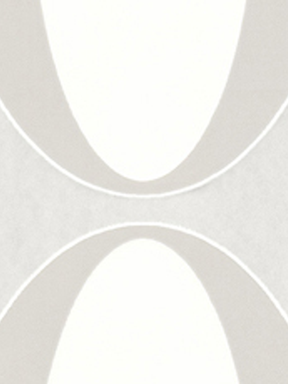 BLACK & WHITE - 215116 (21 cm) - A.C. 2