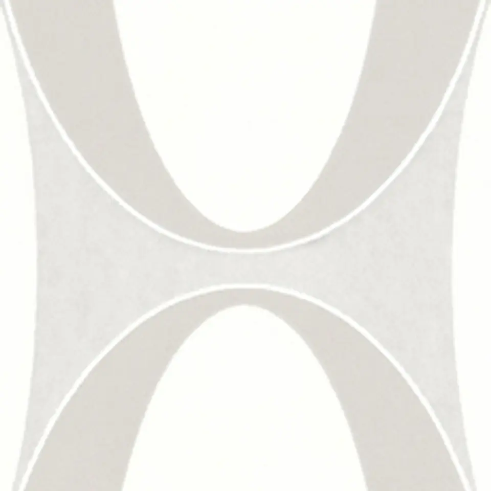 BLACK & WHITE - 215116 (21 cm) - A.C. 2