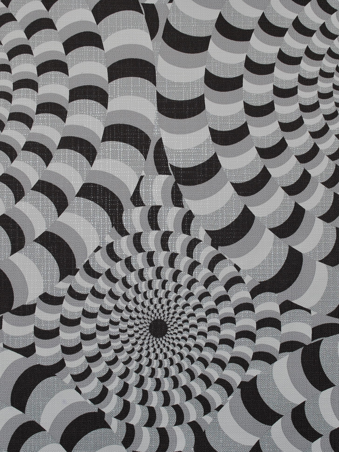 BLACK & WHITE - 757531 (26 cm) - A.C. 1