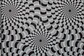 BLACK & WHITE - 757531 (26 cm) - A.C. - thumbnail 1