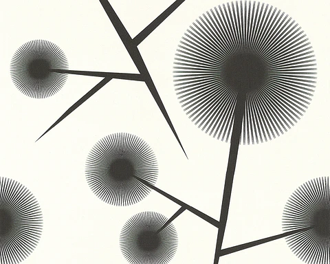 BLACK & WHITE - 623812 (64 cm) - A.C. 