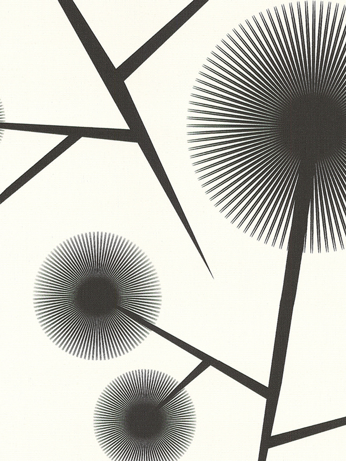 BLACK & WHITE - 623812 (64 cm) - A.C.  1