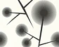 BLACK & WHITE - 623812 (64 cm) - A.C.  - thumbnail 1