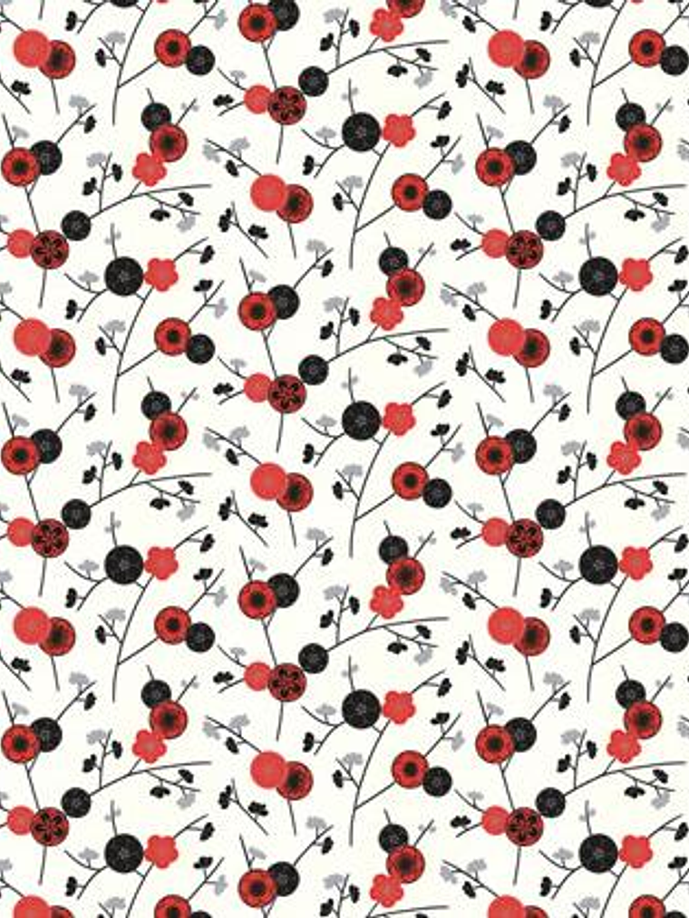 GEMINI - 859419 (64 cm) - A.C. 1