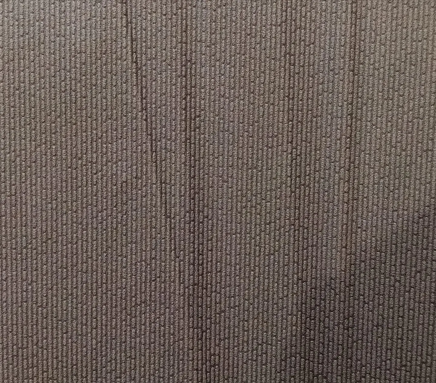 FLOCK 4 - 256027 (0 cm) - A.C.  1
