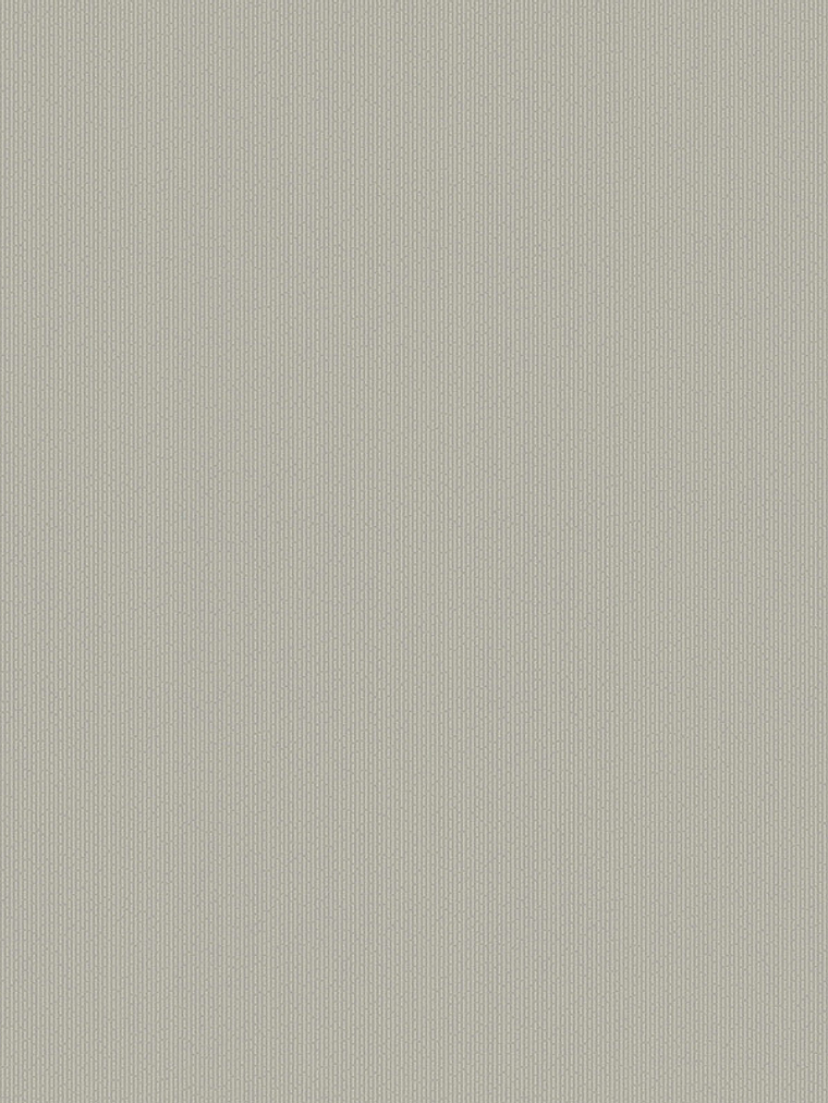 FLOCK 4 - 256065 (0 cm) - A.C.  1