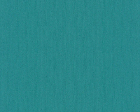 FLOCK 4 - 256096 (0 cm) - A.C.