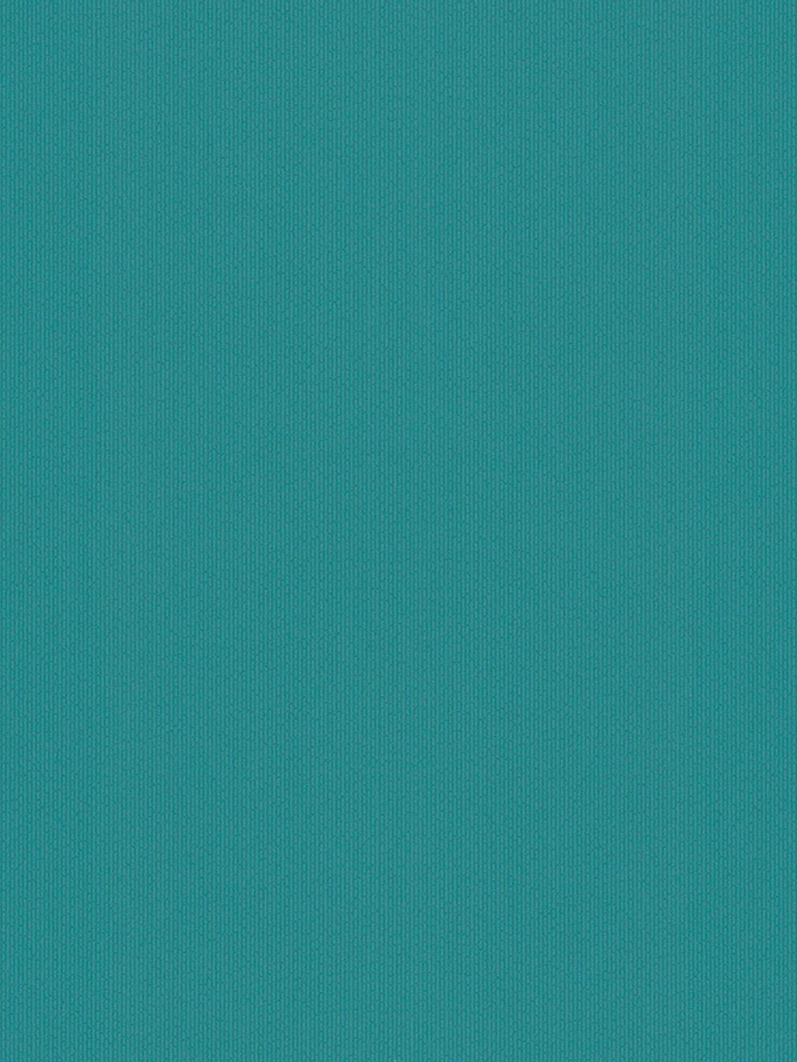 FLOCK 4 - 256096 (0 cm) - A.C. 1