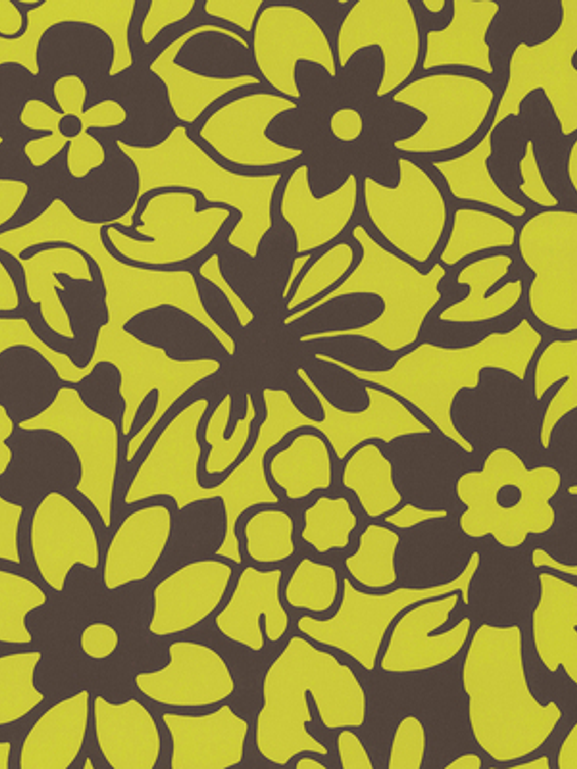 SAMBA - 882615 (53 cm) - A.C. 1