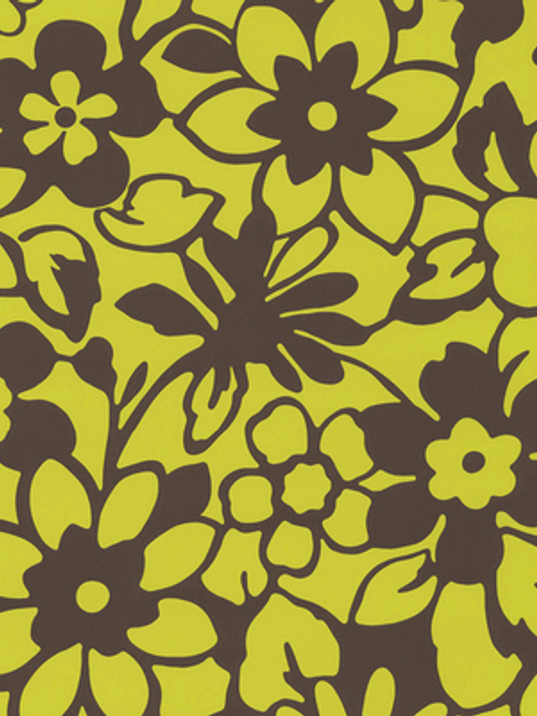 SAMBA - 882615 (53 cm) - A.C. 1