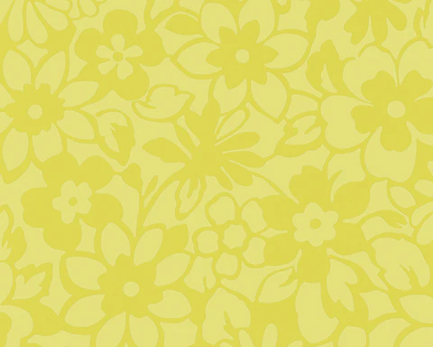 SAMBA - 882622 (53 cm) - A.C.