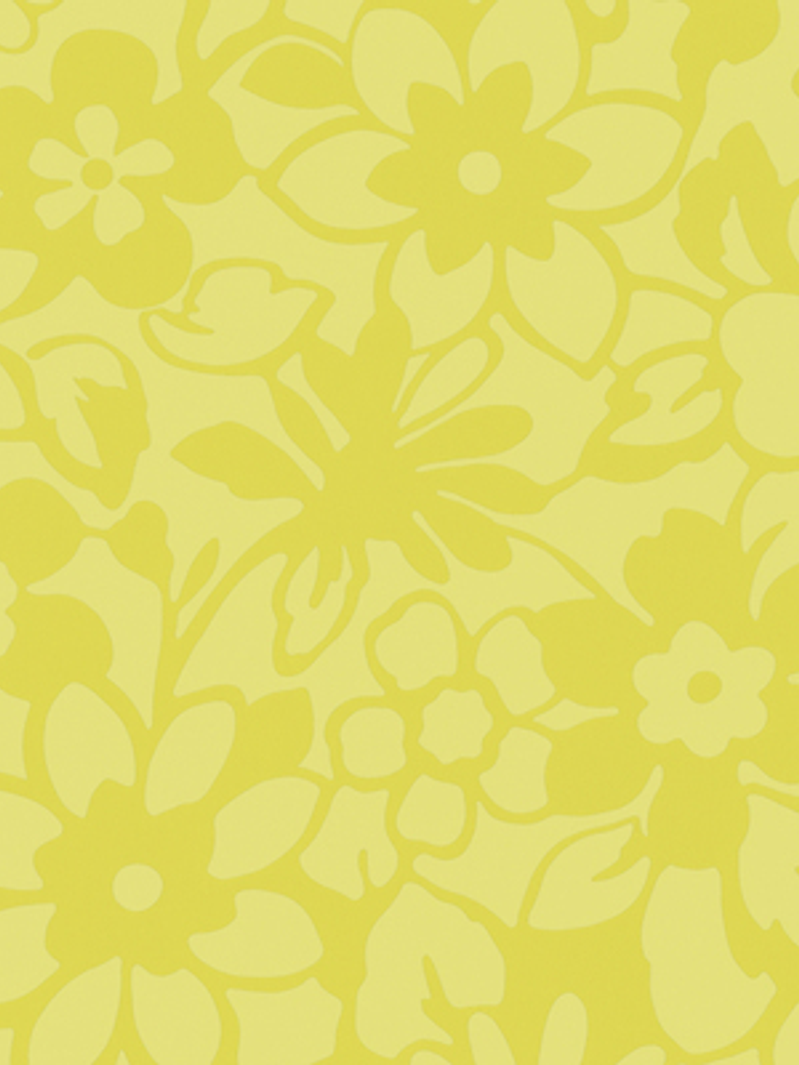 SAMBA - 882622 (53 cm) - A.C. 1