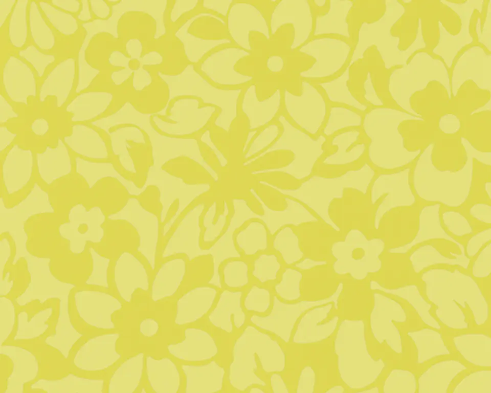 SAMBA - 882622 (53 cm) - A.C. 1