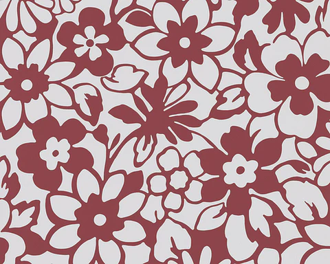 SAMBA - 882639 (53 cm) - A.C.