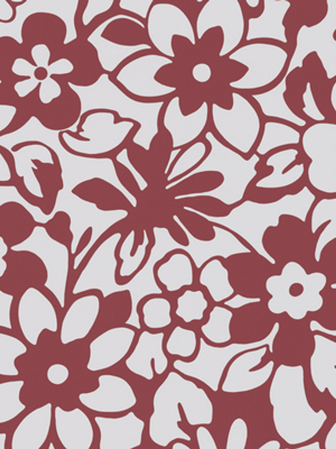 SAMBA - 882639 (53 cm) - A.C. 1