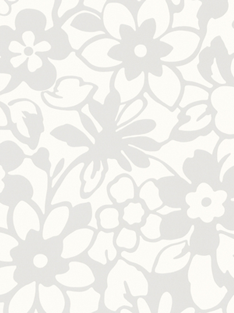 SAMBA - 882660 (53 cm) - A.C. 1