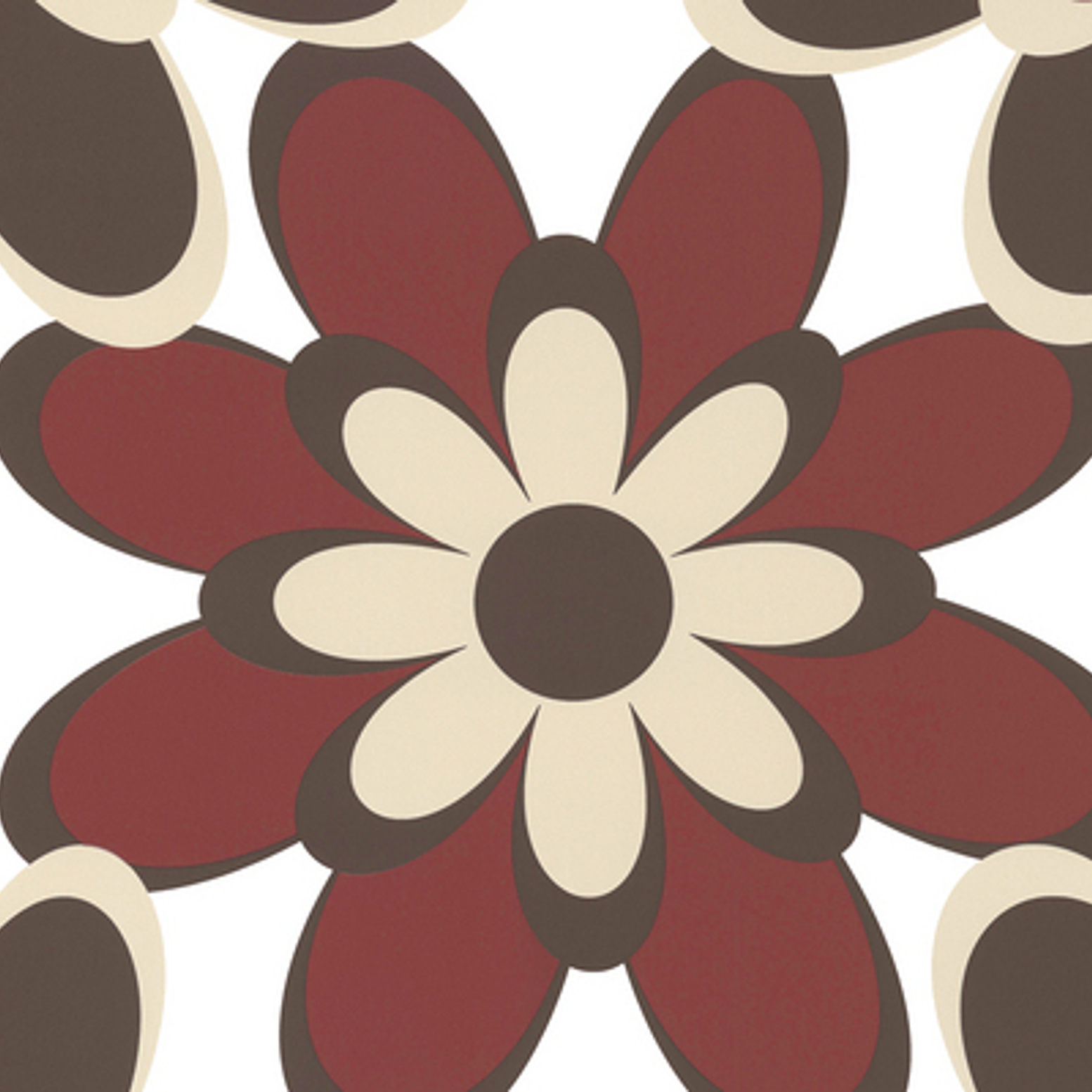 SAMBA - 883056 (64 cm) - A.C. 1