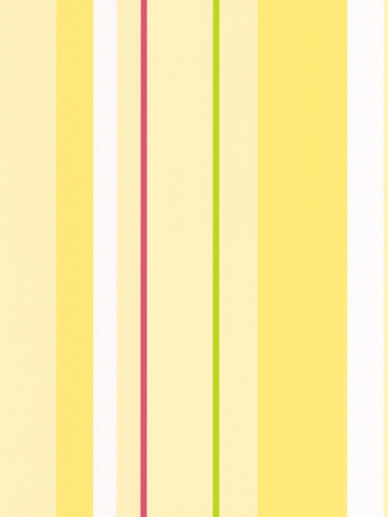 SAMBA - 883162 (0 cm) - A.C. 1