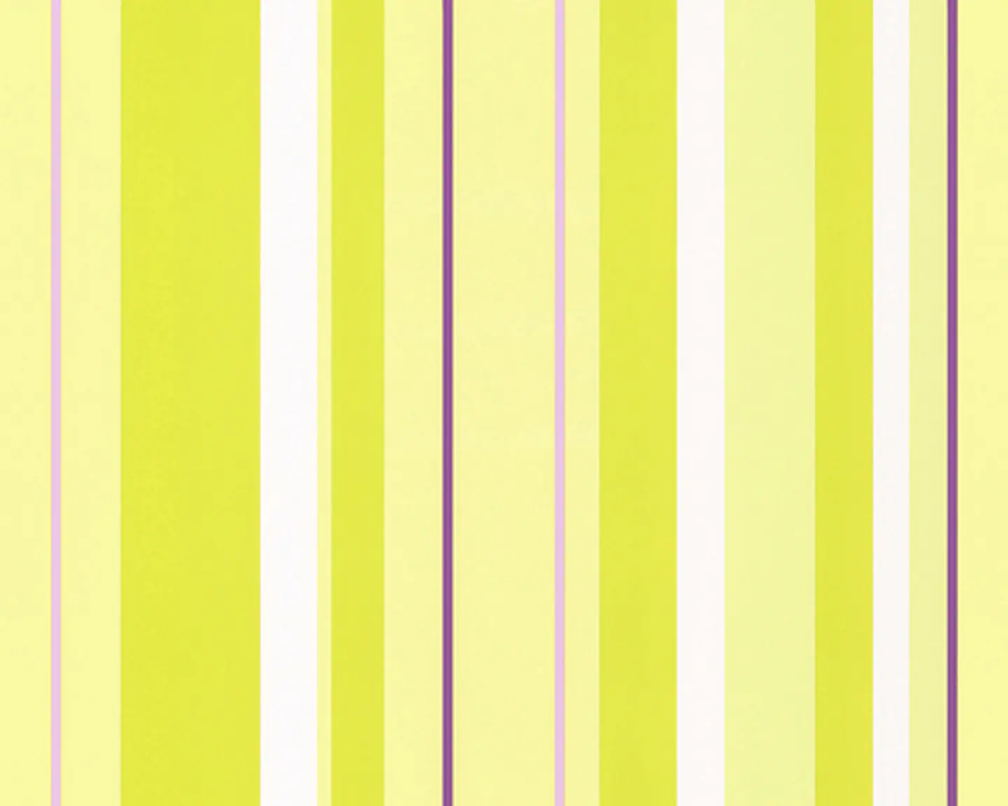 SAMBA - 883193 (0 cm) - A.C. 1