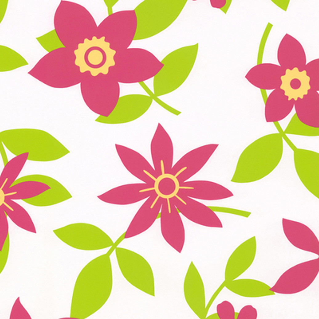 SAMBA - 883216 (64 cm) - A.C. 1