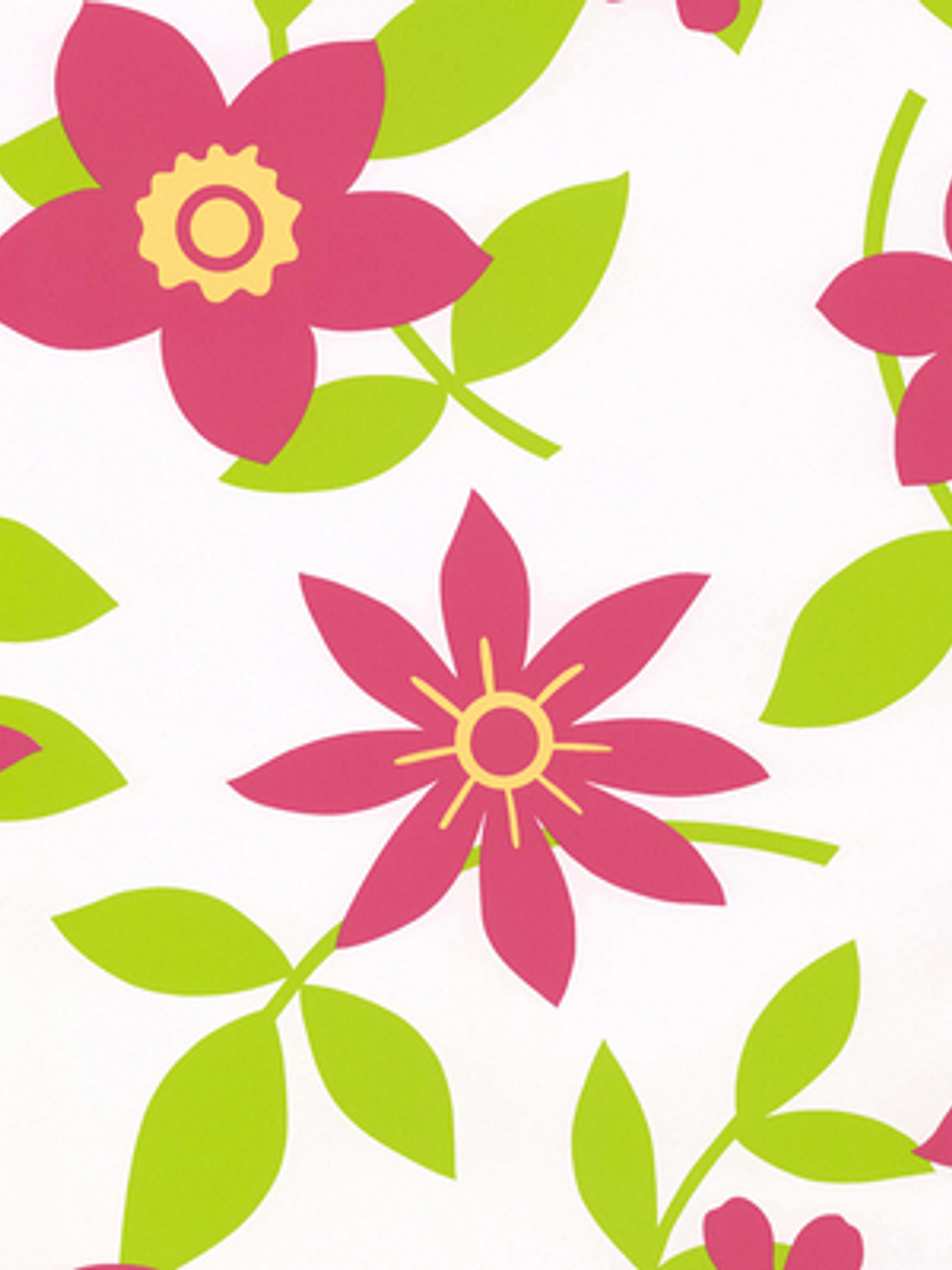 SAMBA - 883216 (64 cm) - A.C. 1