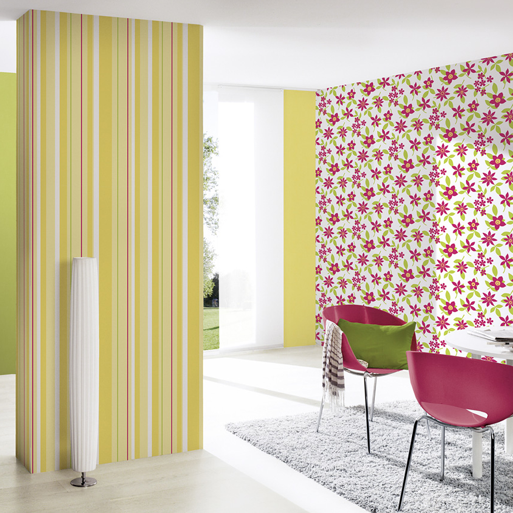 SAMBA - 883216 (64 cm) - A.C. 2