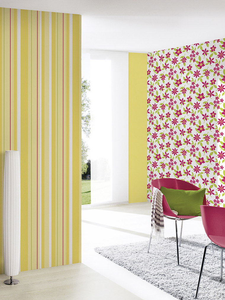 SAMBA - 883216 (64 cm) - A.C. 2