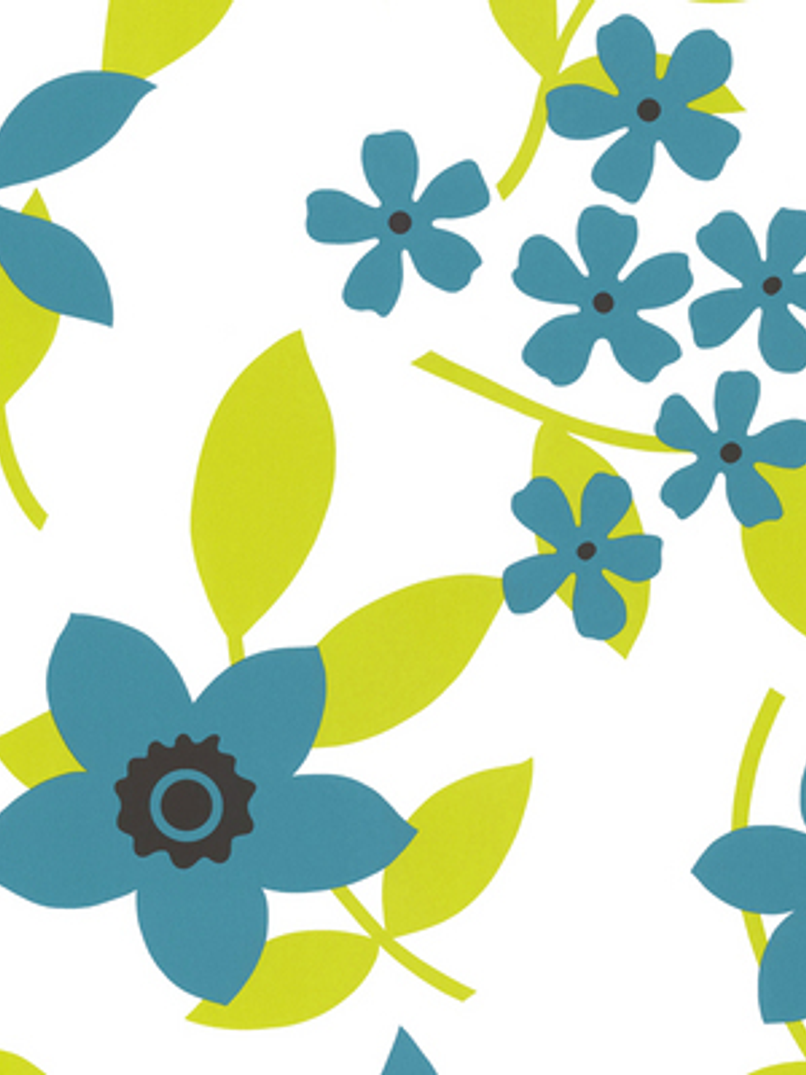 SAMBA - 883223 (64 cm) - A.C. 1