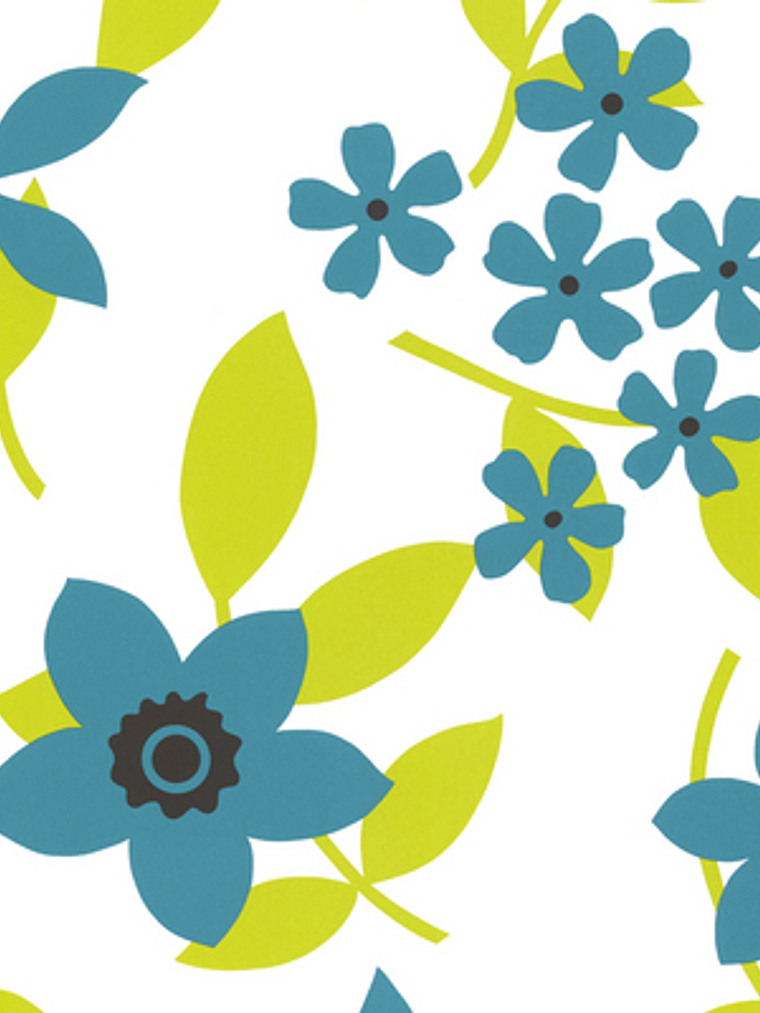 SAMBA - 883223 (64 cm) - A.C. 1