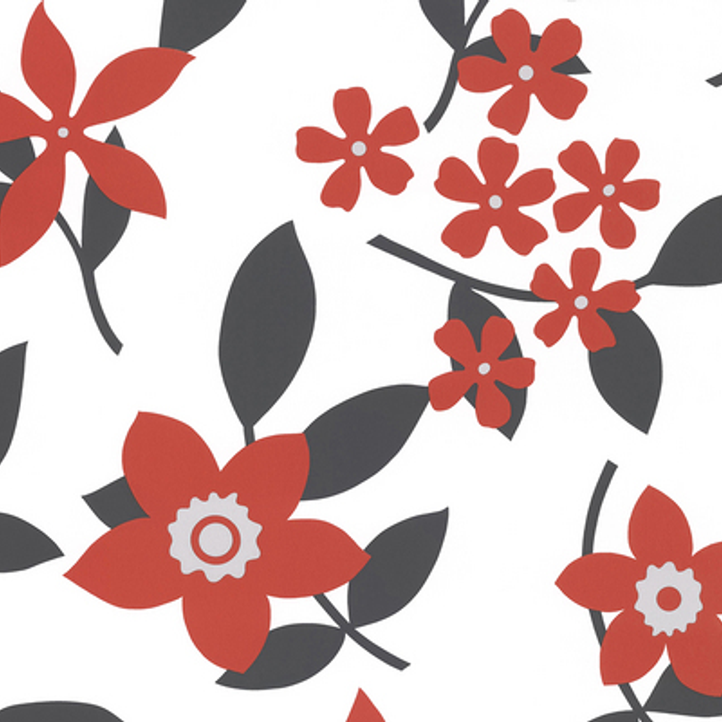 SAMBA - 883230 (64 cm) - A.C. 1