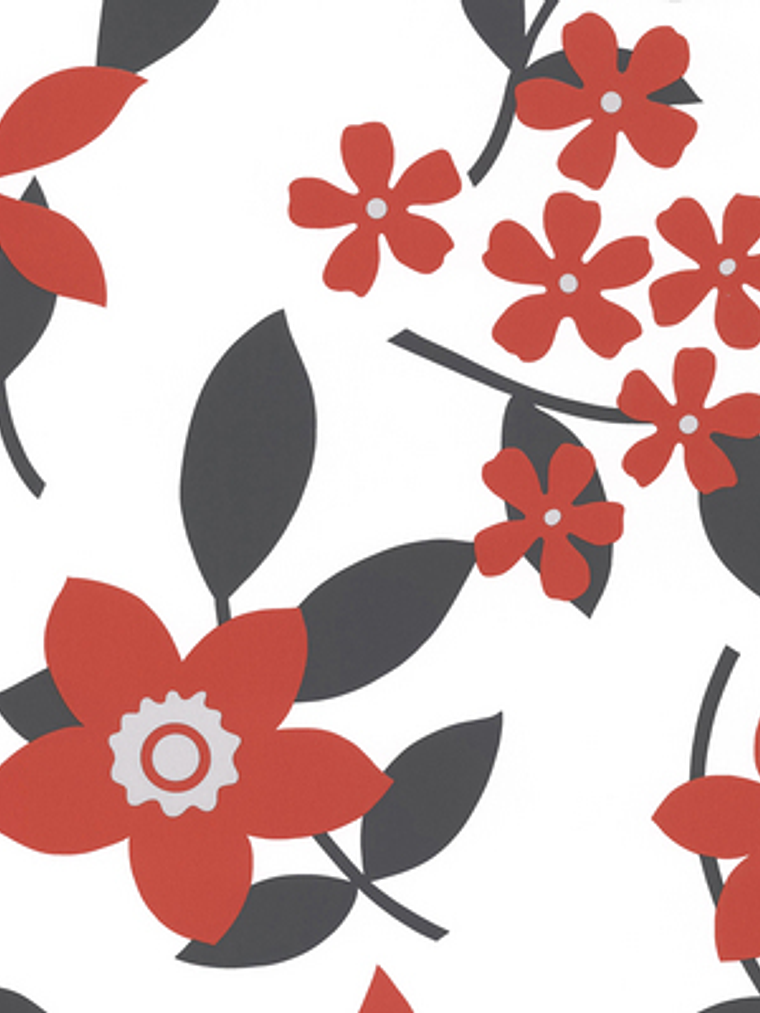 SAMBA - 883230 (64 cm) - A.C. 1