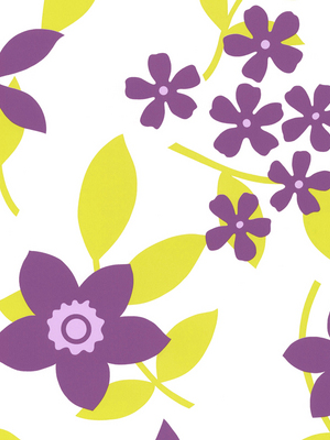 SAMBA - 883247 (64 cm) - A.C. 1