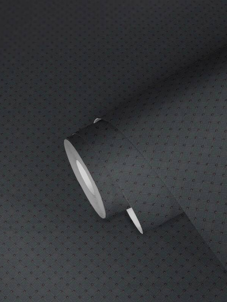 374681 (4 CM) - ASIAN FUSION 3