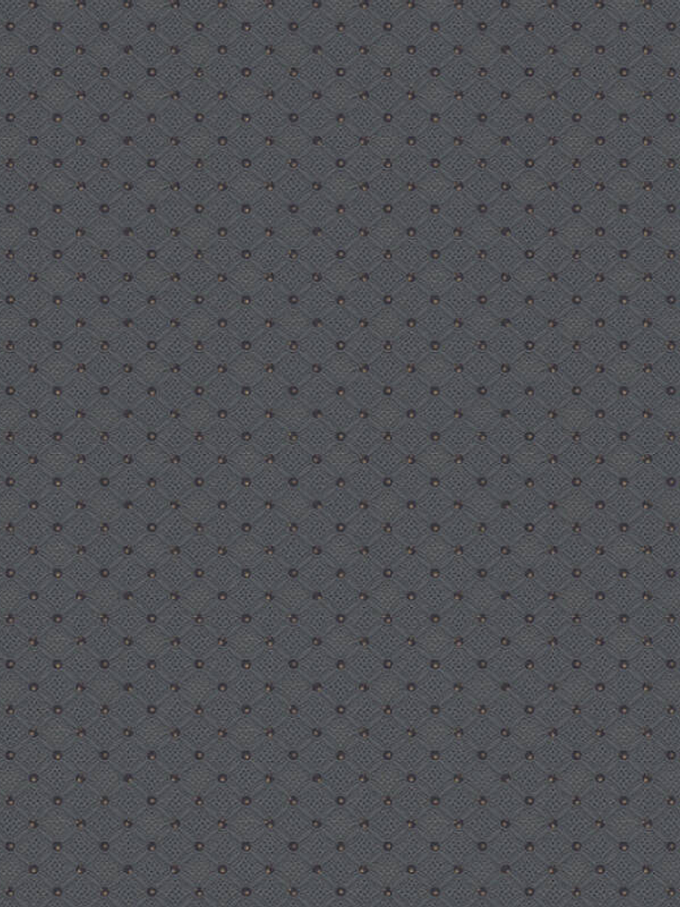 374681 (4 CM) - ASIAN FUSION 1