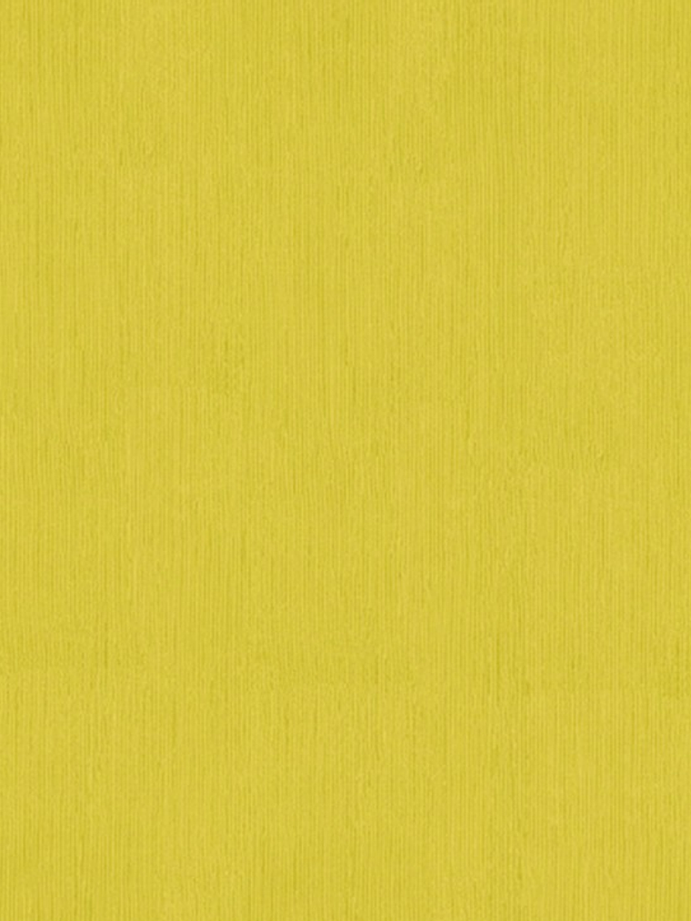 KIDS PARTY- 883322  (0 cm) - A.C. 1