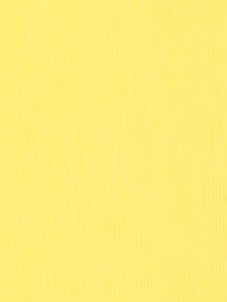 KIDS PARTY - 883827 (0 cm) - A.C. 1