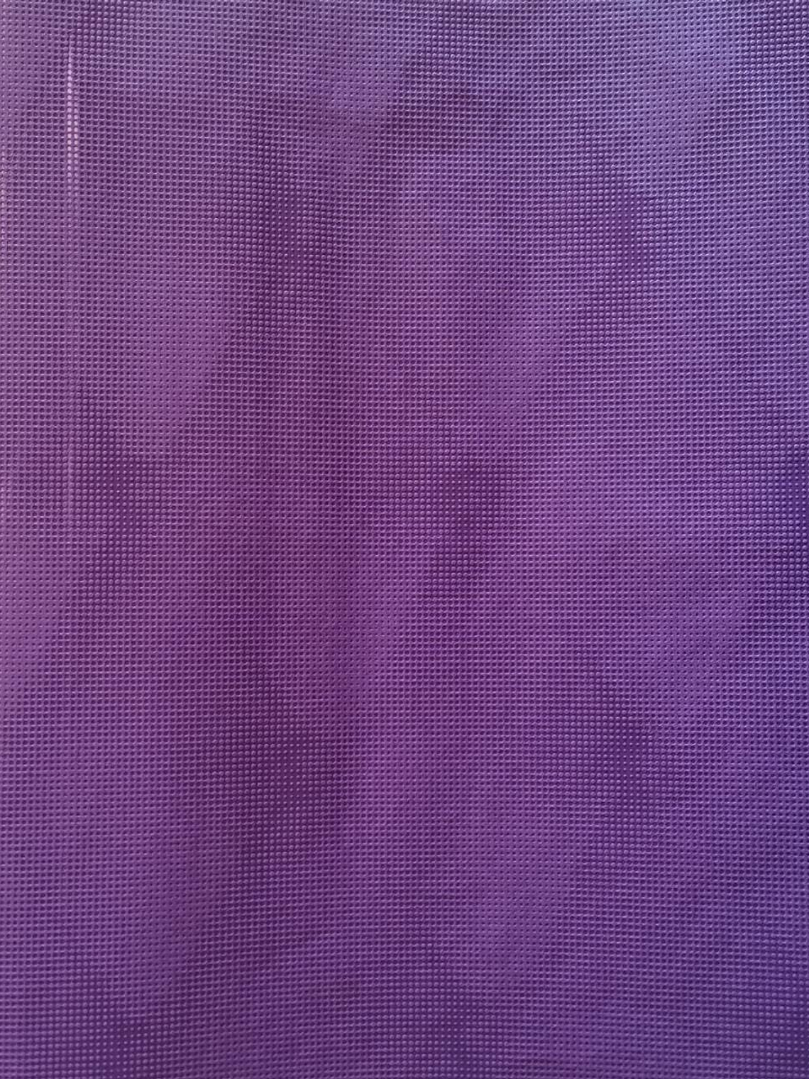 ALICE WHOW - 51806 (64 cm) - Marburg 2