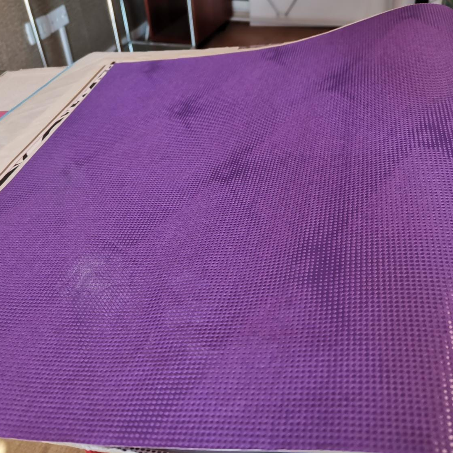 ALICE WHOW - 51806 (64 cm) - Marburg 1