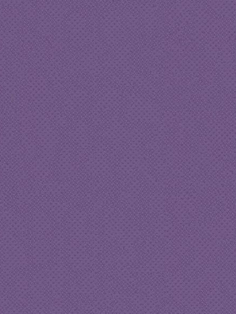 ALICE WHOW - 51816 (0 cm) - Marburg 1