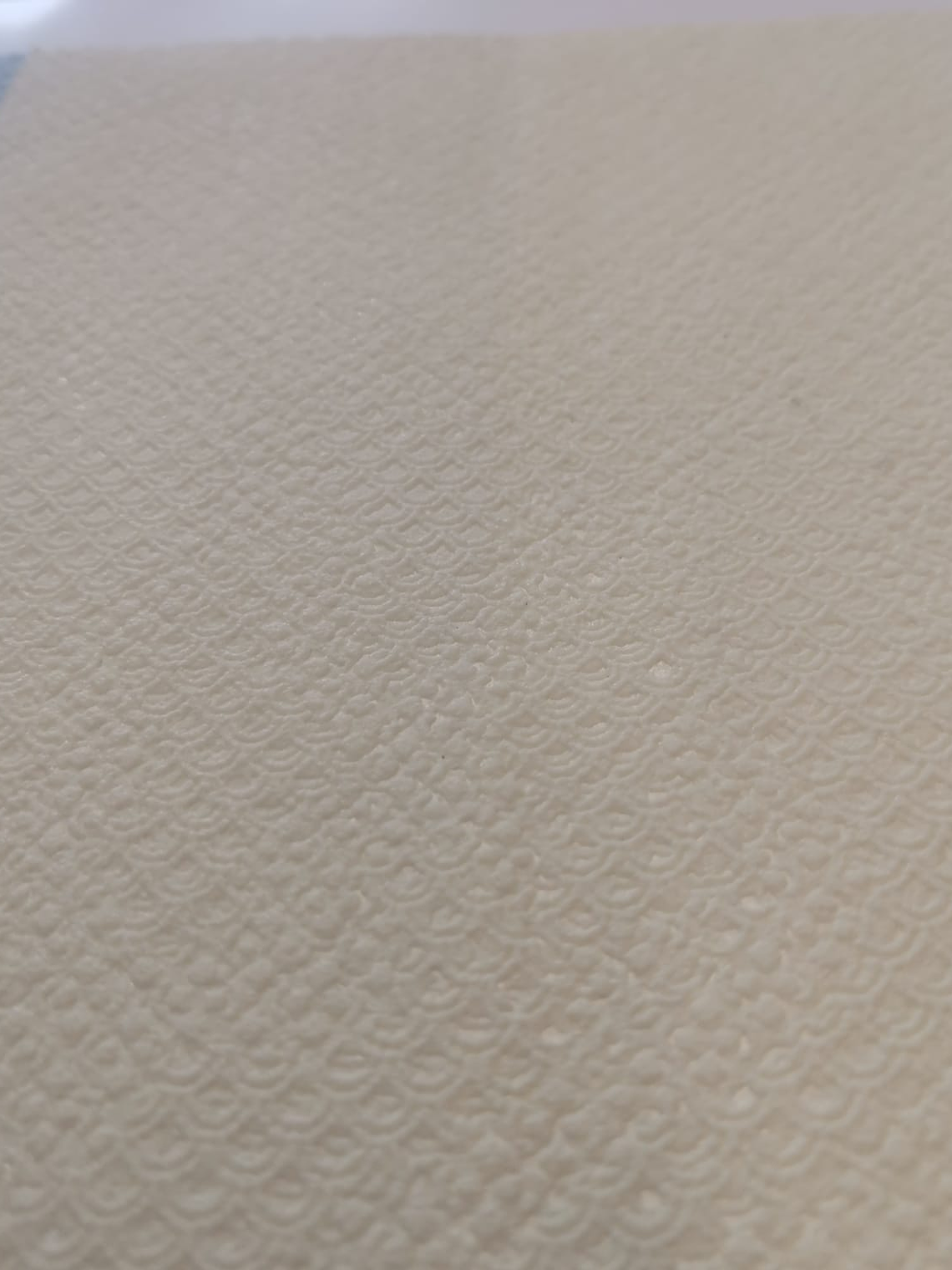 ALICE WHOW - 51820 (0 cm) - Marburg 1