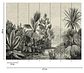 BOTANIC & JUNGLE - 382351 - THE WALL - A.C  - Miniatura 2