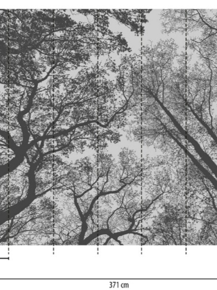 BOTANIC & JUNGLE - 382401 - THE WALL - A.C 2