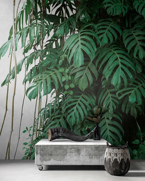 BOTANIC & JUNGLE - 382411 - THE WALL - A.C