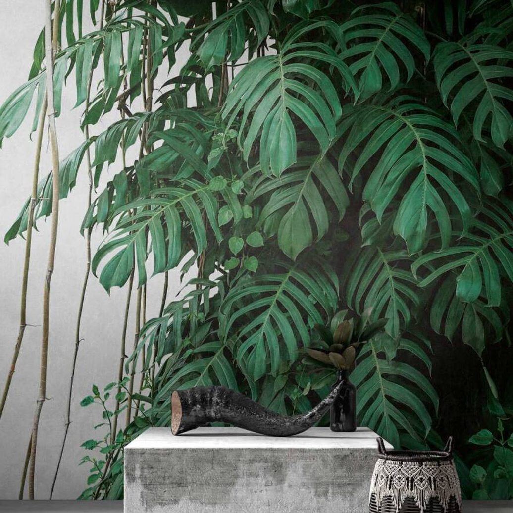 BOTANIC & JUNGLE - 382411 - THE WALL - A.C 1