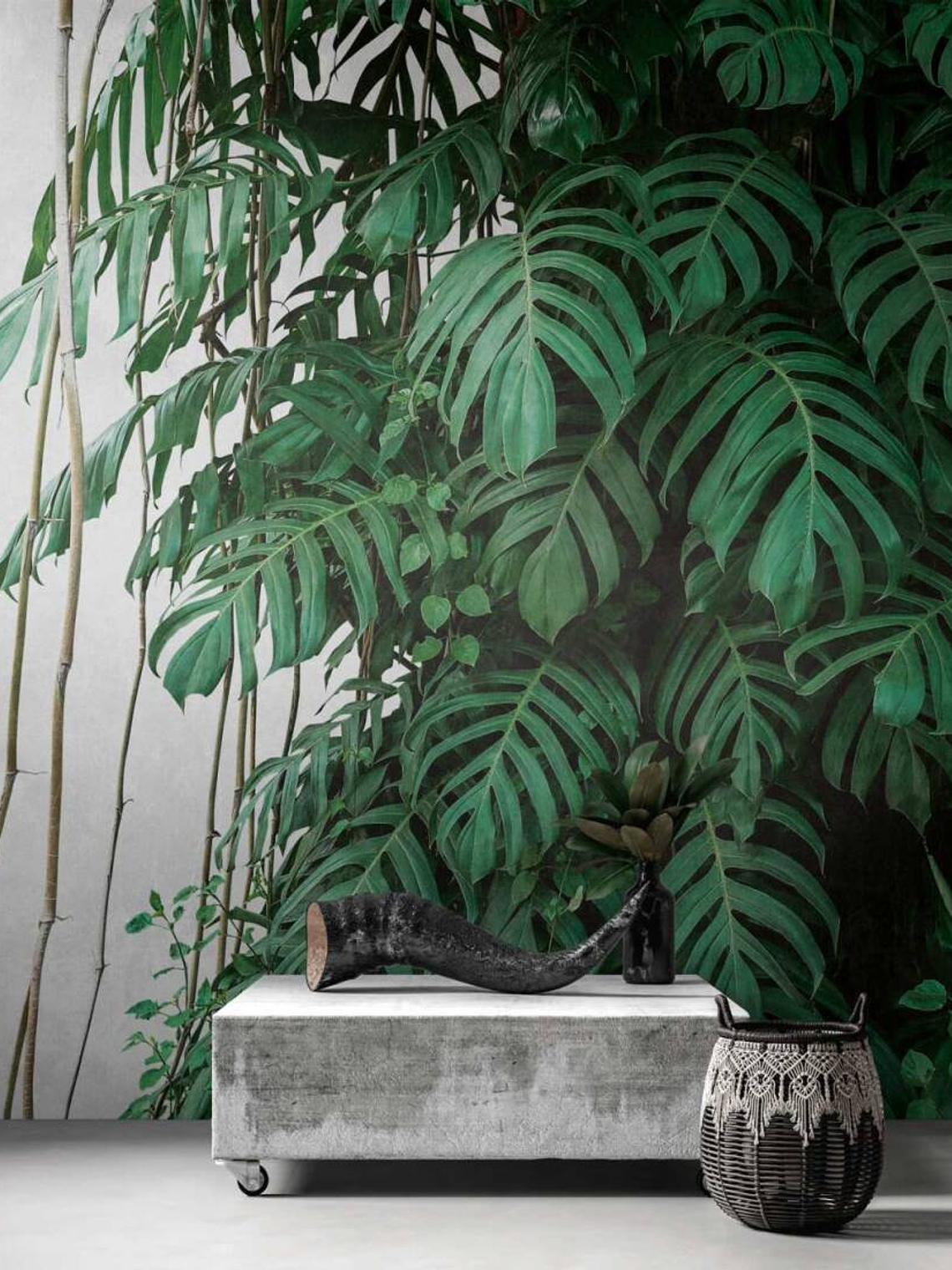 BOTANIC & JUNGLE - 382411 - THE WALL - A.C 1